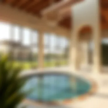 Magnificent Exploring Joy at Arabian Ranches 3: A Comprehensive Look