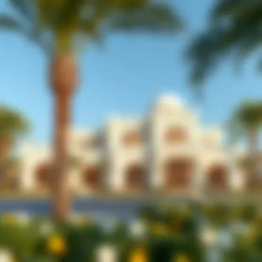 Magnificent Exploring the Zahia Community: A Comprehensive Overview Magnificent Exploring the Zahia Community: A Comprehensive Overview