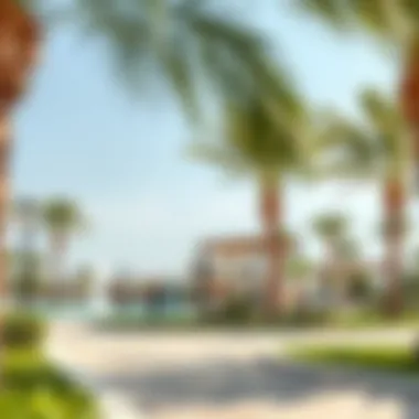 Recreational Activities in Al Barsha Park Recreational activities in Al Barsha park