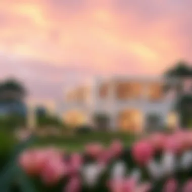 Serene Surroundings of Damac Camelia Scenic surroundings of the Damac Camelia project