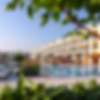 Community Amenities in District One Community amenities including swimming pool and parks