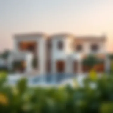 Evaluating Investment Potential in Damac Hills 2 Summary