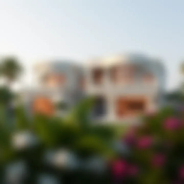 Notable Examining the Costs of Purchasing a House in Dubai