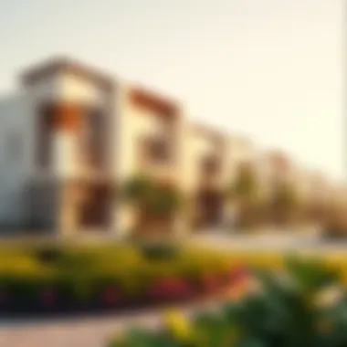 Recreational Spaces in Al Mwaihat 2 Community park in Al Mwaihat 2 offering recreational spaces