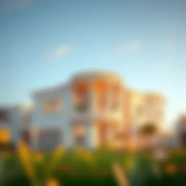Exploring Bloom Living in Zayed City Summary Exploring Bloom Living in Zayed City Summary