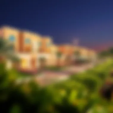 Vibrant community life with recreational amenities in Dubai Meadows