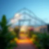 Innovative Greenhouse Design in Deira A modern greenhouse showcasing innovative agricultural techniques