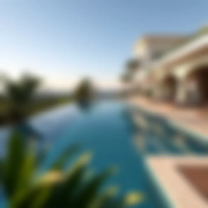 Private infinity pool surrounded by lush greenery in a high-end villa