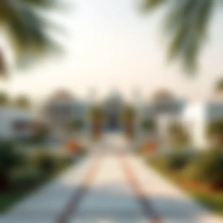 Exploring Nad Al Shiba: A Hidden Gem in Dubai's Luxury Real Estate Landscape Introduction