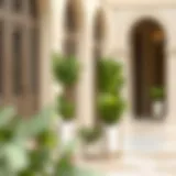 Exploring Outdoor Plant Stands in the UAE: A Comprehensive Guide Introduction