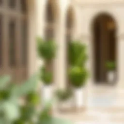 Exploring Outdoor Plant Stands in the UAE: A Comprehensive Guide Introduction