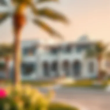 Exploring Palm Island Dubai Real Estate Summary Exploring Palm Island Dubai Real Estate Summary