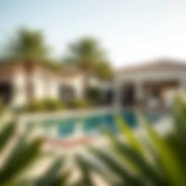 Luxurious Poolside Experience in Signature Villas Luxurious swimming pool surrounded by lush greenery at a Signature Villa in Palm Jumeirah