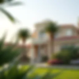 Exploring the Allure of Palm Hills Introduction