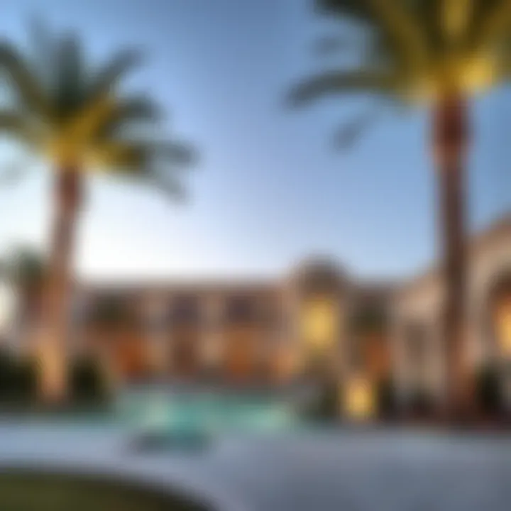Exploring the Allure of Palm Hills Summary
