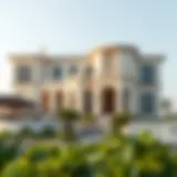 Exploring the Mira Master Plan: A Comprehensive Overview Introduction