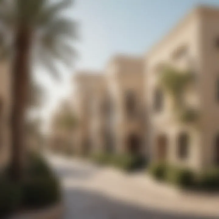 Beautiful Dubai neighborhood with villas