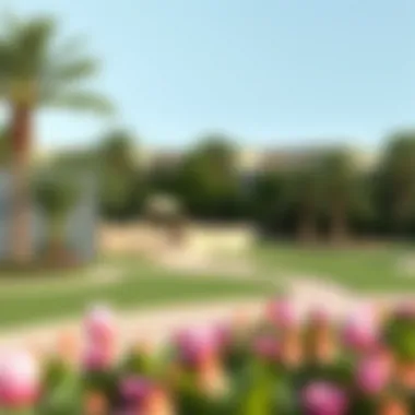 Community Park in West Yas Scenic community park within West Yas, promoting outdoor lifestyle