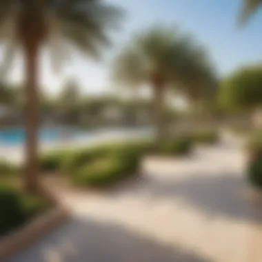 Community Park in Jumeirah Vibrant community park in Jumeirah