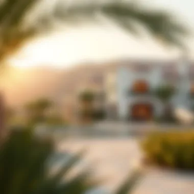 Serene Lifestyle in Dubai's Valleys Serene lifestyle in Dubai's picturesque valleys