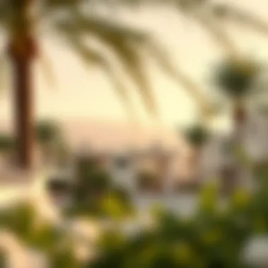 Scenic Community View of Shams AE Scenic view of Shams AE's pristine community