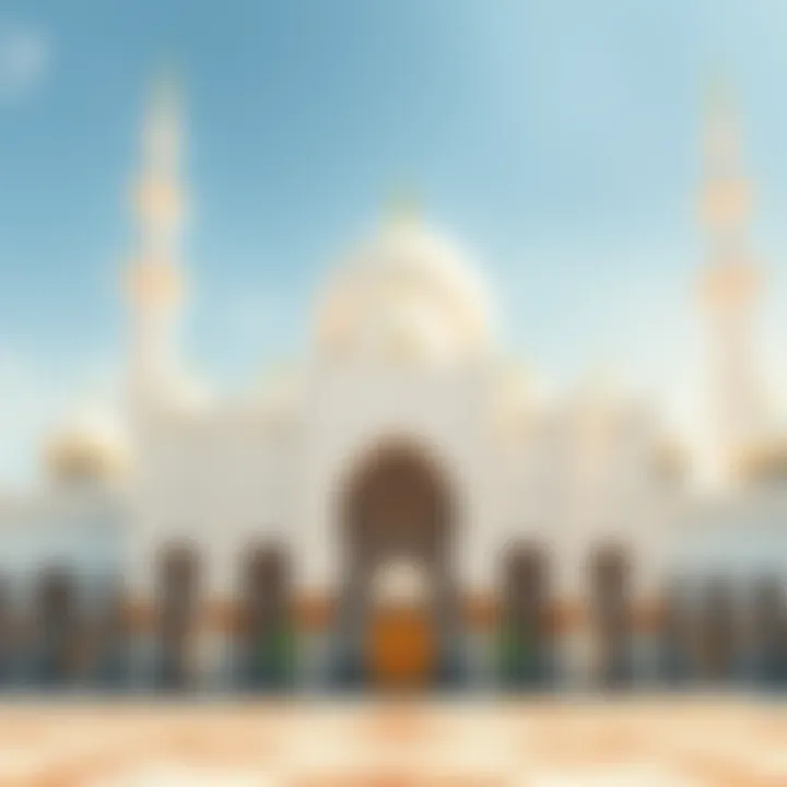 Facade of the UAE's Largest Mosque The stunning facade of the largest mosque in Abu Dhabi