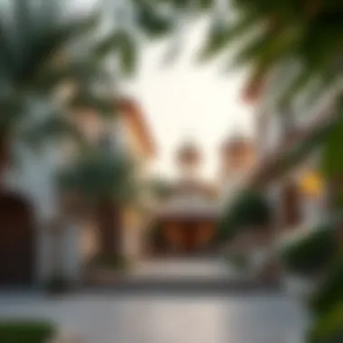 Cultural Richness of Al Mahra Local cultural influences in Al Mahra, Dubai