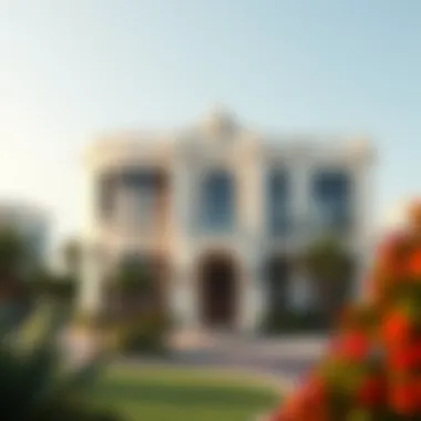 Luxury property in Dubai showcasing land sizes