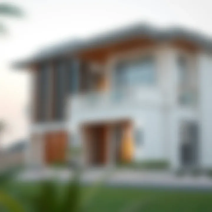 Building Luxury Villas in Dubai Construction site of a luxury villa