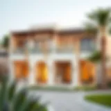 Luxurious exterior design of Wadi Villas showcasing modern architecture